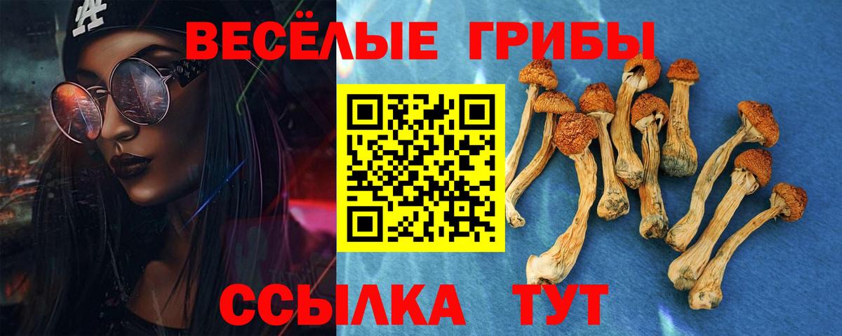 Псилоцибиновые грибы Psilocybine cubensis Мыски